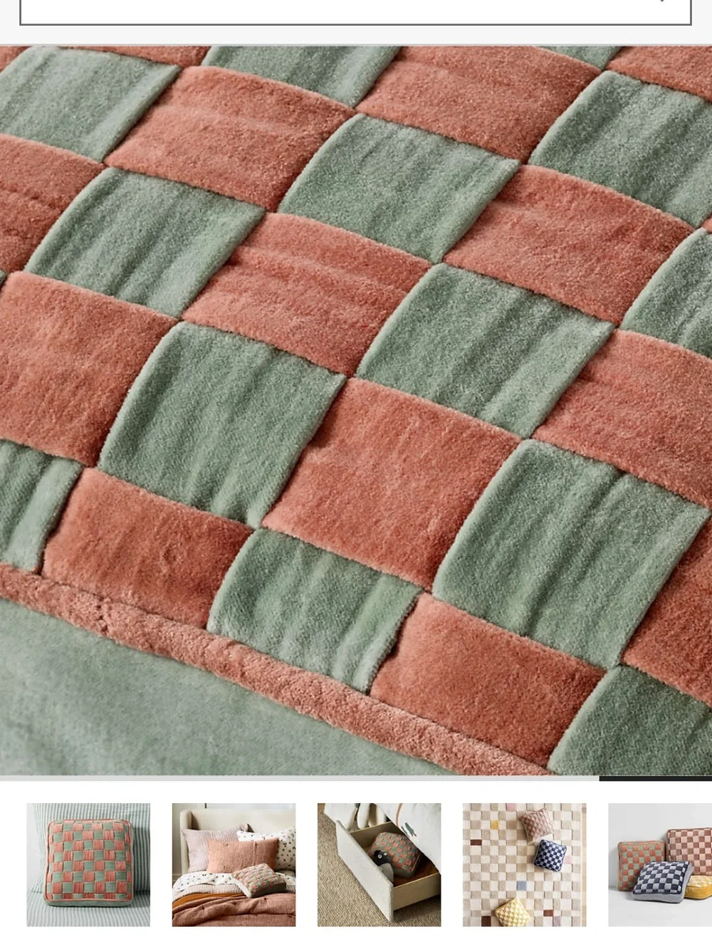 Crate & Barrel Harriet Velvet Square Pillow - A Pair